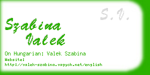 szabina valek business card